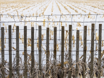 NEBf4-2020-Fence-and-Field