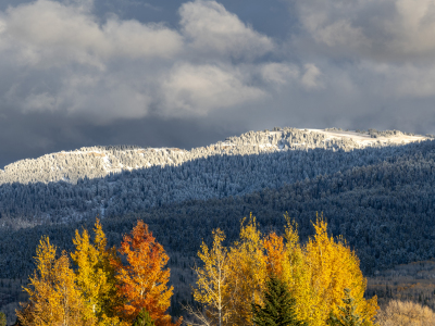 IDf24-15-Teton-Foothills-Early Snow