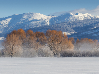 IDw20-47-Willows and the Big Hole Mountains
