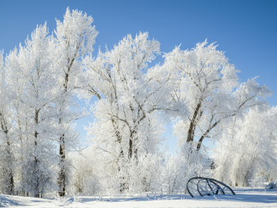 IDw22-54-Wheel-Line-Parts-at-the-Edge-of-Grand-Teton-Canal
