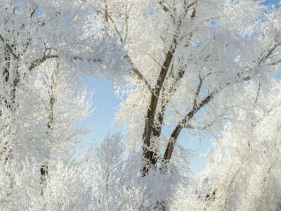 IDw22-55-Wheel-Line-Parts-at-the-Edge-of-Grand-Teton-Canal-B0000056-2-3-crop-wk-copy