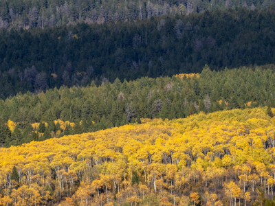 IDf25-19-Banded-Landscape-below-Grand-Targhee