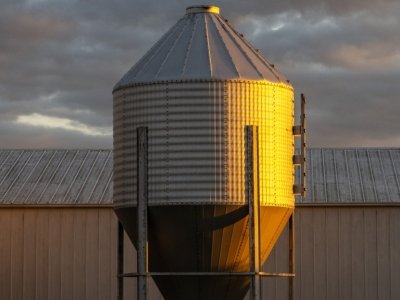 ILLf2-Pink-Hat-Farmer Silo