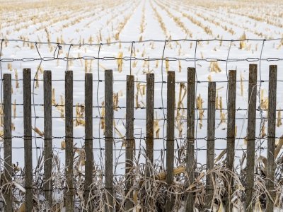 NEBf4-2020-Fence-and-Field