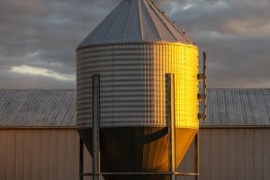 ILLf2-Pink-Hat-Farmer Silo