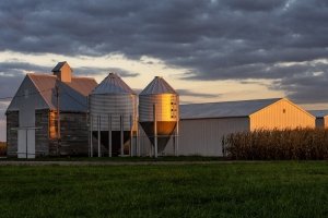 ILLf4-Pink-Hat-Farmer