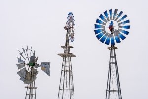 IWf9-2020-Windmill-Acres-Neola-IW