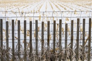 NEBf4-2020-Fence-and-Field