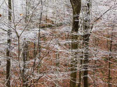 VAf19-First snow of the Season