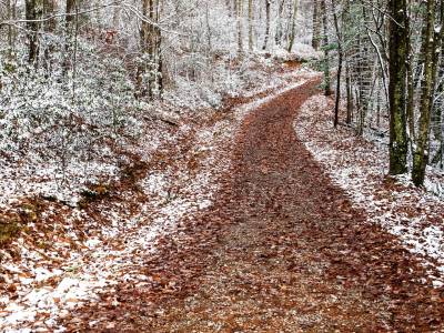 VAf31-Pathway Early Snow