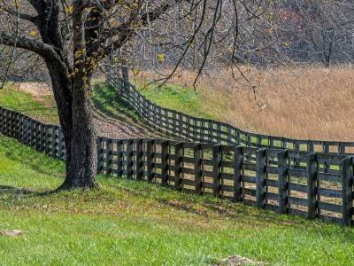 VAf8-Two Fences