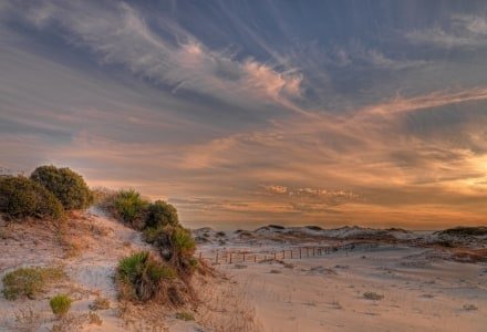 FLf41 Deer Lake Dunes