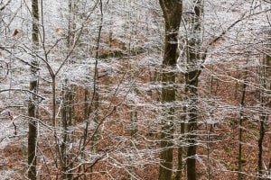 VAf19-First snow of the Season