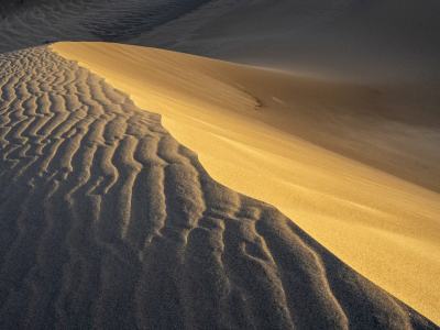 CO21sp-14-Early Morning Ridgeline - Great-Sand-Dunes-National Park