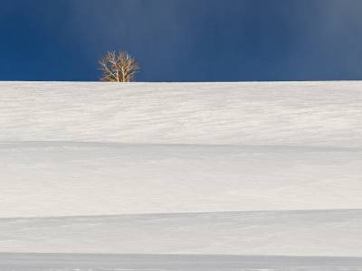 IDw20-210-Snow-Field-Layers-Teton-Byway-Idaho