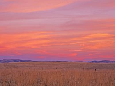 Sunset above Wheat Fields, near Ritzville, Eastern Washington - WAp1