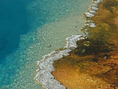 Colorful Edge of Midway Geyser Basin, Yellowstone National Park, Wyoming - YNPf1