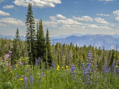 MTsu23-24-Beartooth-Pass-Highway-Clay-Butte