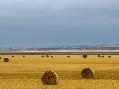MTsu23-25-Hay-Rolls-in-Hathaway-MT