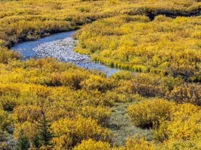 WYf25-24-Blackrock-River-near-Togwotee Pass