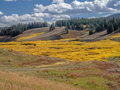 WYf25-28-Blackrock-River-Valley-near-Togwotee Pass