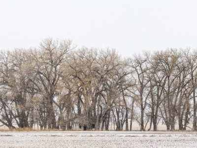 WYsp24-1_Pan-60x24-Sidewinder-Road-Riverton-WY