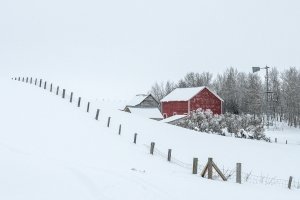 IDw22-13-Farmstead