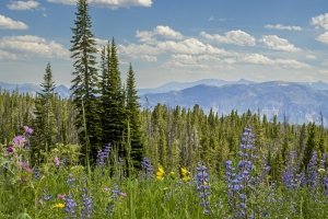 MTsu23-24-Beartooth-Pass-Highway-Clay-Butte