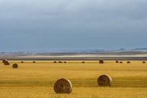 MTsu23-25-Hay-Rolls-in-Hathaway-MT