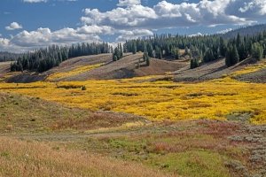 WYf25-28-Blackrock-River-Valley-near-Togwotee Pass