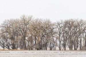 WYsp24-1_Pan-60x24-Sidewinder-Road-Riverton-WY