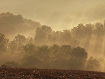 Ef9 Val d'Orcia light