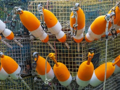 PQsp6 Pemaquid Lobster Buoys