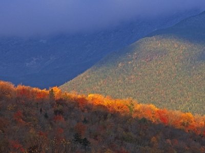 WMf7 Great Gulf Wilderness, New Hampshire