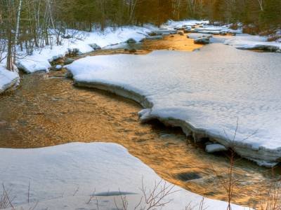 SLsp19 Early Spring Carrabassett River Gold