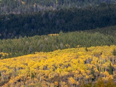 IDf25-19-Banded-Landscape-below-Grand-Targhee, Driggs, Idaho