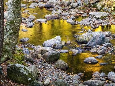 KFf202-Reeds-Brook-Falls