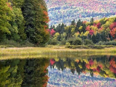 SLCf15 Chain of Ponds Mountain Reflection