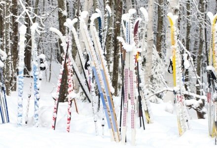MHTw38 Snowy Skis
