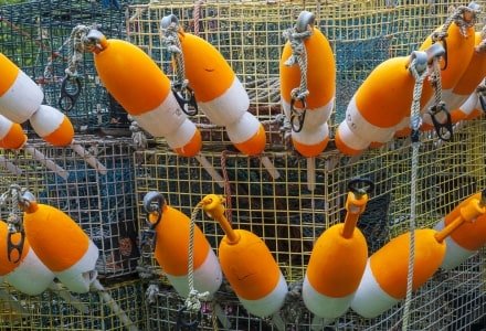 PQsp6 Pemaquid Lobster Buoys