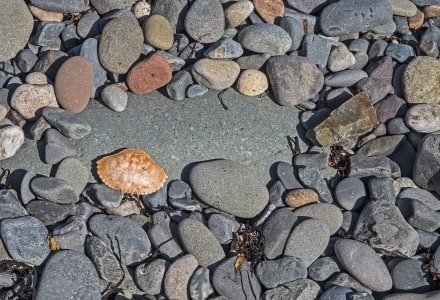 DECsp30p Rocks and Crabshell - Bog Brook Cove Preserve-Moose Cove