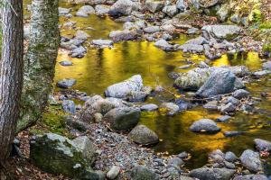 KFf202-Reeds-Brook-Falls