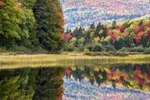 SLCf15 Chain of Ponds Mountain Reflection