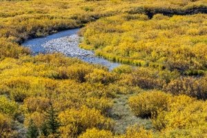 WYf25-24-Blackrock-River-near-Togwotee Pass WY
