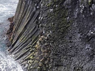 Basalt Columns, Snæfellsnes Peninsula, Hellnar, Iceland- ILsp107