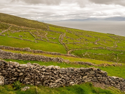 IRsp14-2022-Stone-Walls-Dingle-Peninsula-Ireland