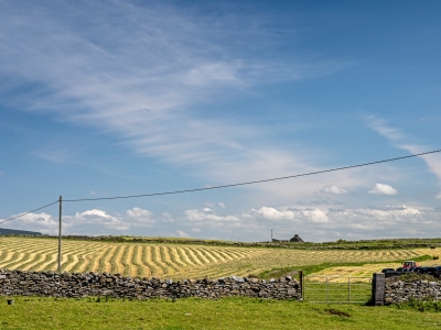 IRsp56-2022-Farm-Field-Doolin-Ireland