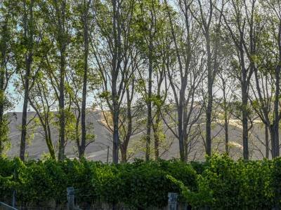 NZsu24-2019-Road-to-Ugbridge-Guest-House