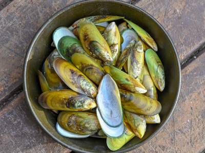 NZsu40-2019-Green-Lipped-Mussels