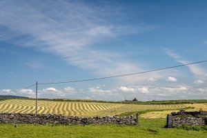 IRsp56-2022-Farm-Field-Doolin-Ireland